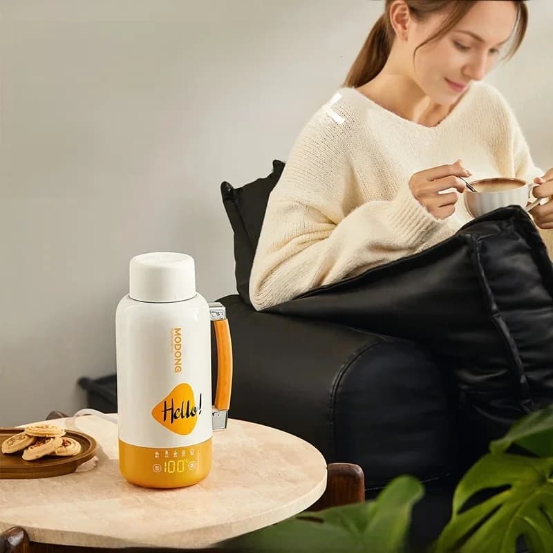 Vaso hervidor eléctrico portátil para coche y enchufe 1L 316 acero inoxidable