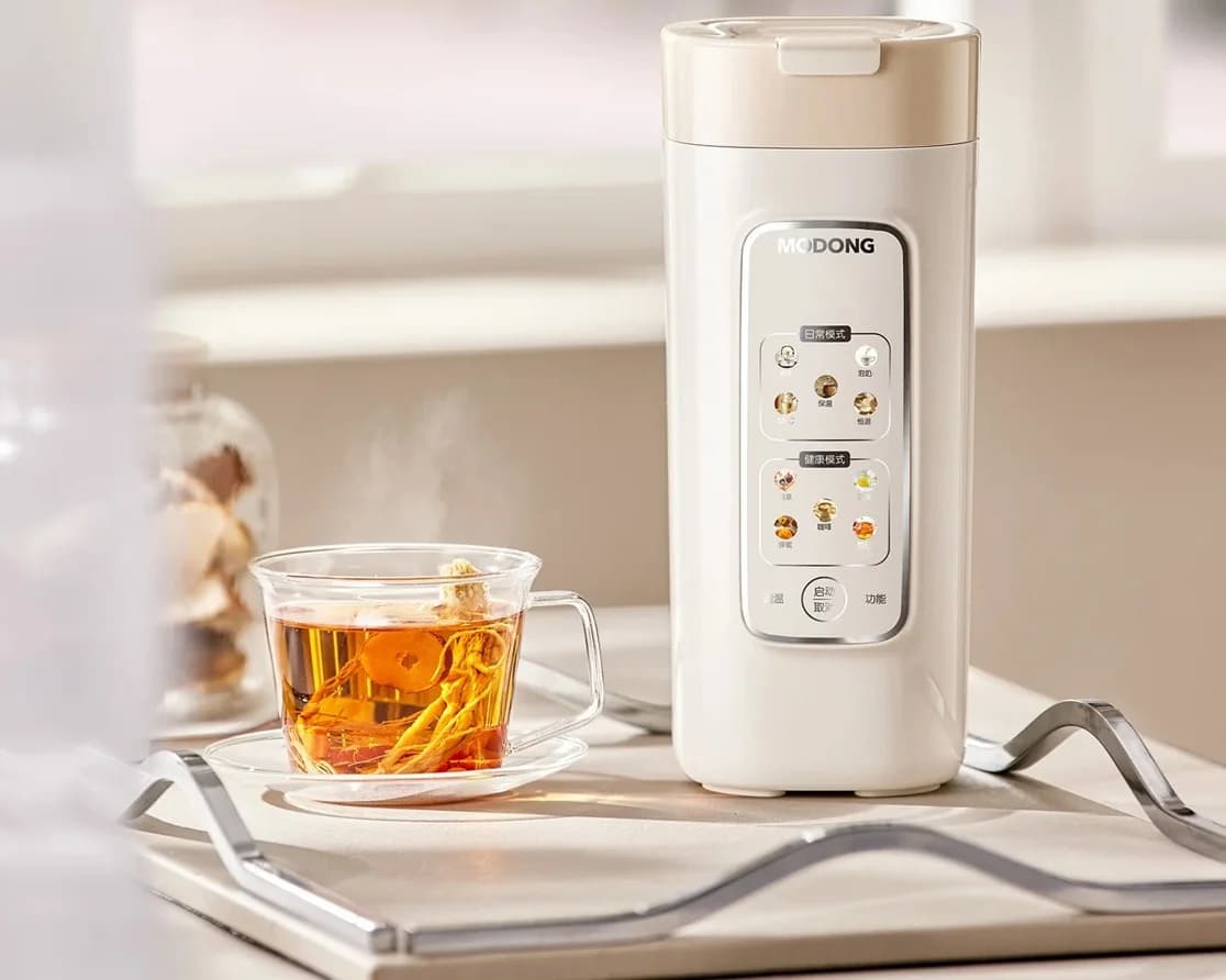 Taza portátil eléctrica para calentar agua con filtro, 220V