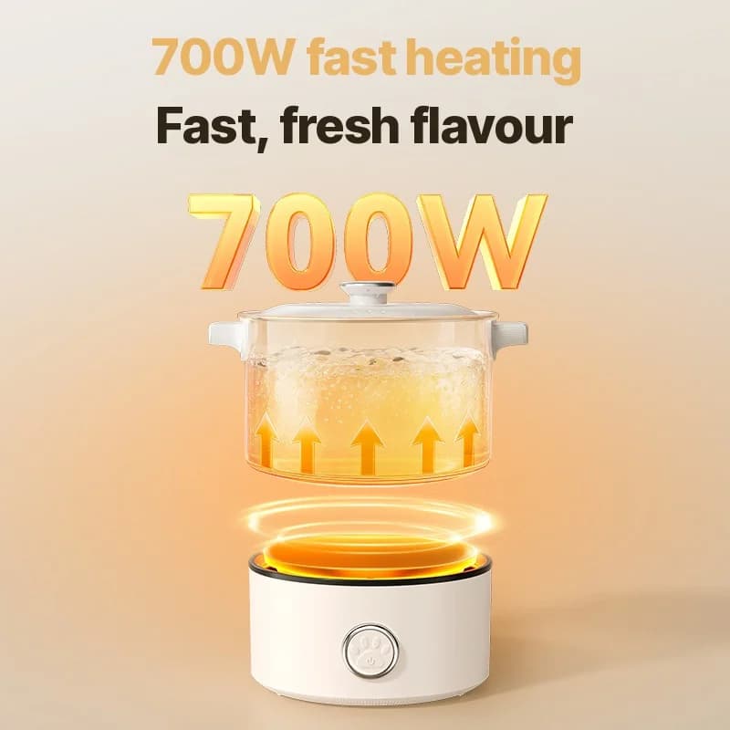 Olla eléctrica portátil para cocinar con sartén y rejilla para vapor