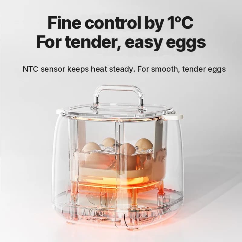 Hervidor eléctrico de huevos 4-6 huevos con cuenco para natillas de huevo