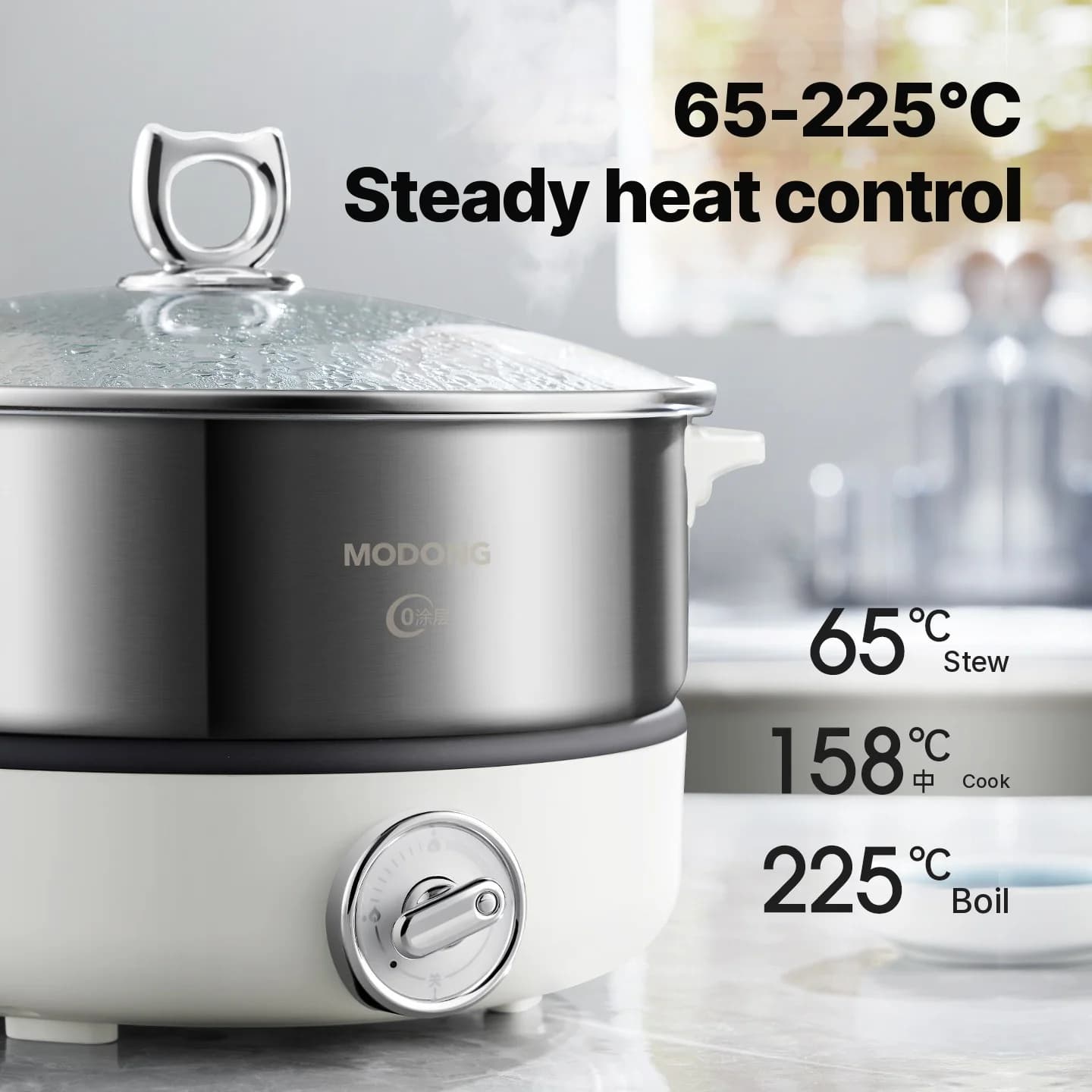 Olla eléctrica dividida con revestimiento de acero inoxidable 1500W